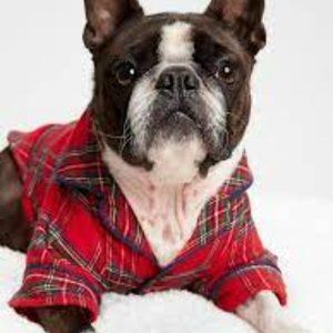 Gap Red Fleece Flannel Pajamas for Pets